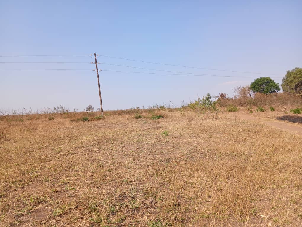 14.5 HECTARES PRIME LAND FOR SALE NEAR KIA ( KAMUZU INTERNATIONAL AIRPORT) – photo 3