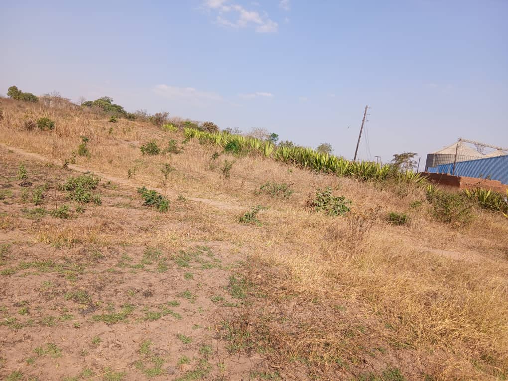 2 ACRES OF PRIME LAND FOR SALE NEAR  DMI   UNIVERISTY LILONGWE CAMPUS