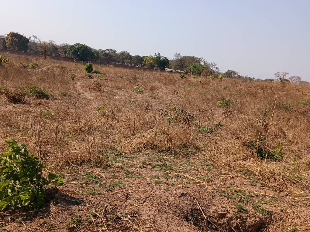 2 ACRES OF PRIME LAND FOR SALE NEAR  DMI   UNIVERISTY LILONGWE CAMPUS – photo 3