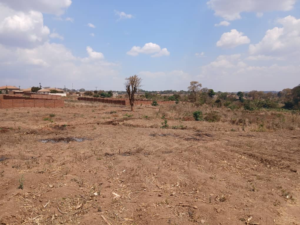 AREA 17 PLOTS FOR SALE