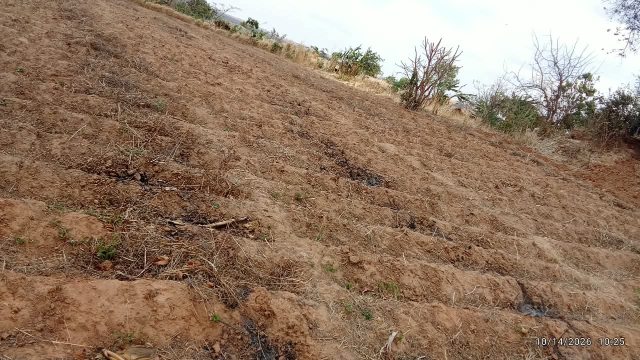 30  ACRES FOR SALE  IN KASUNGU – photo 2