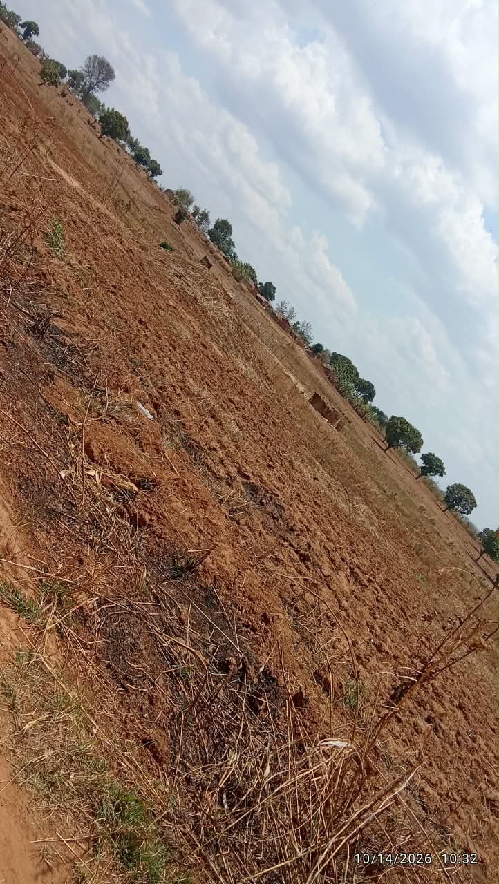 30  ACRES FOR SALE  IN KASUNGU – photo 3